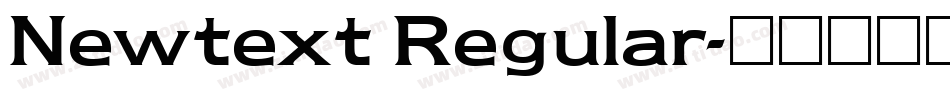 Newtext Regular字体转换